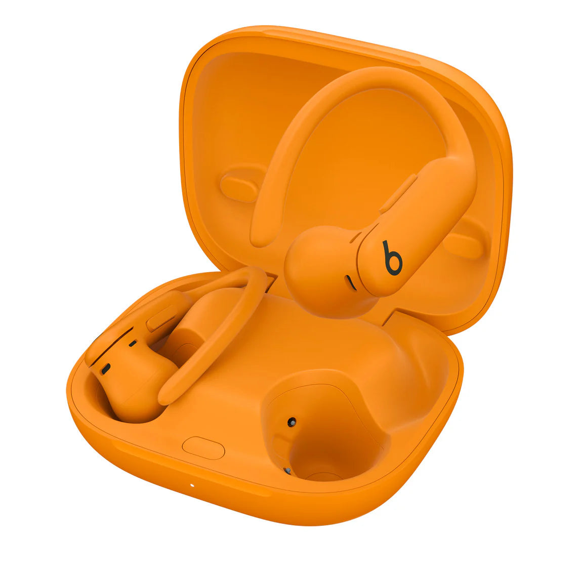 Powerbeats Pro 2 — High-Performance Earbuds